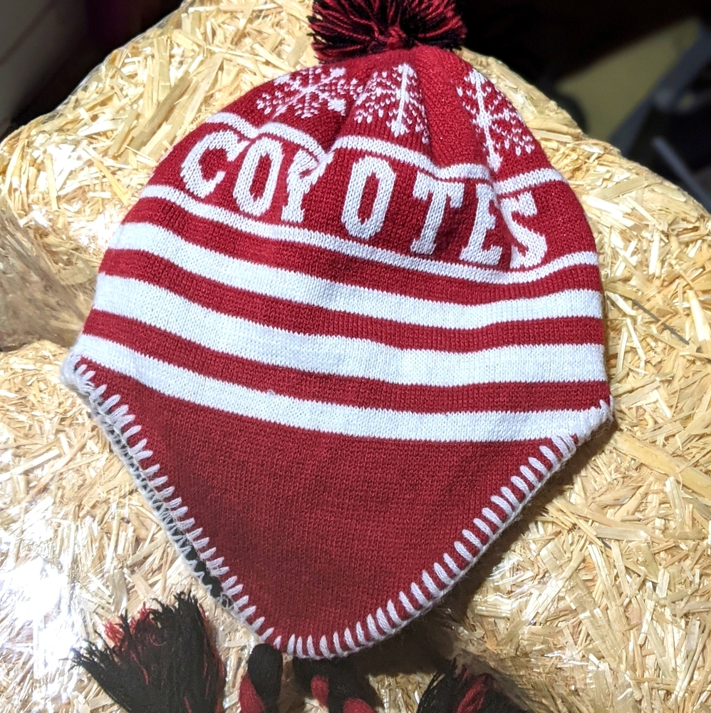 NWOT AZ Coyotes Mountain Hat